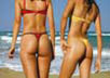 268d9fe31165553a529063199d6b50f2